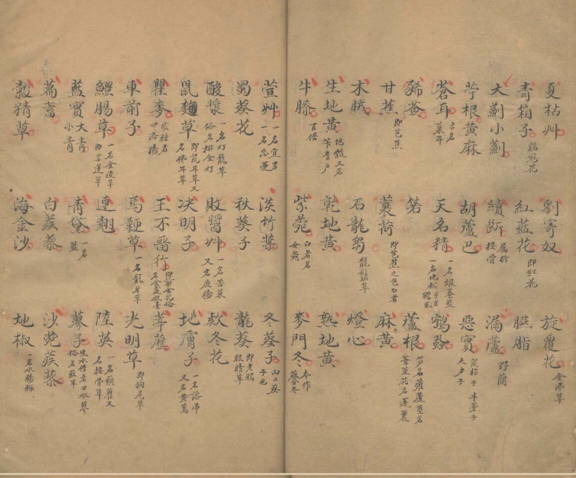 得宜本草插图11