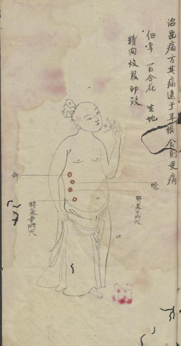 罗延龄 开卷有益（医） , 1943插图3