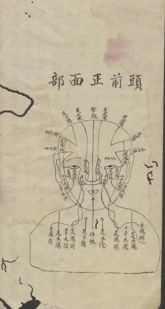 罗延龄 开卷有益（医） , 1943插图9