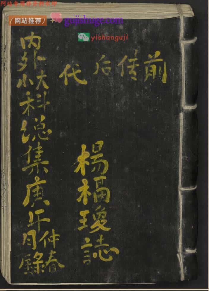 杨福琼 内外大小科总集